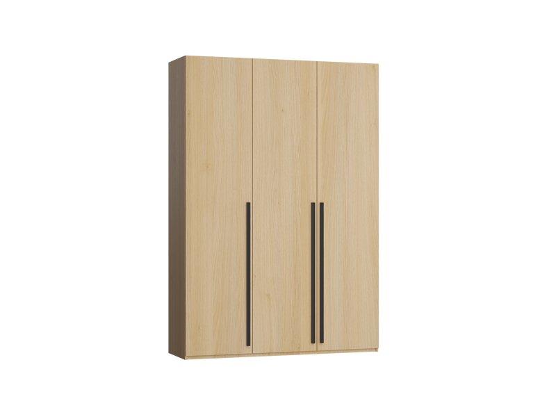 Распашной шкаф Кимбол-3