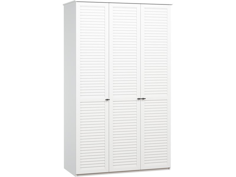 Распашной шкаф Монмарт-3